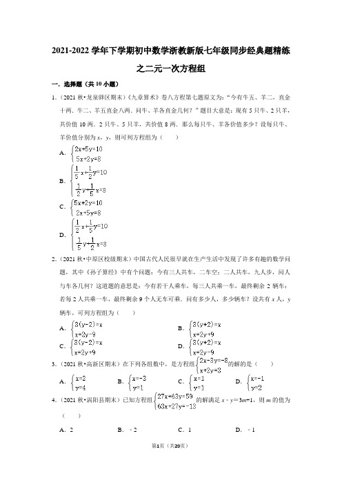 2021-2022学年下学期初中数学浙教新版七年级同步经典题精练之二元一次方程组