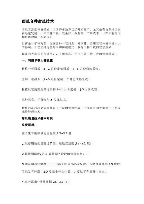西瓜套种甜瓜技术