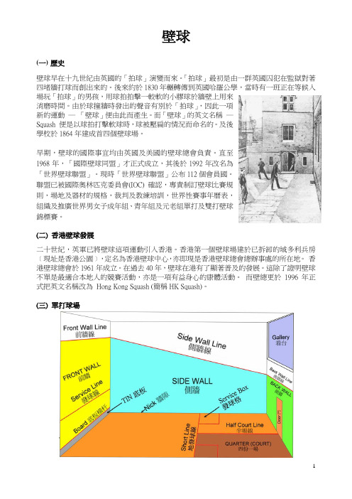 壁球