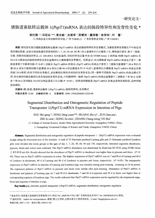 猪肠道寡肽转运载体1(PepT1)mRNA表达的肠段特异性和发育性变化