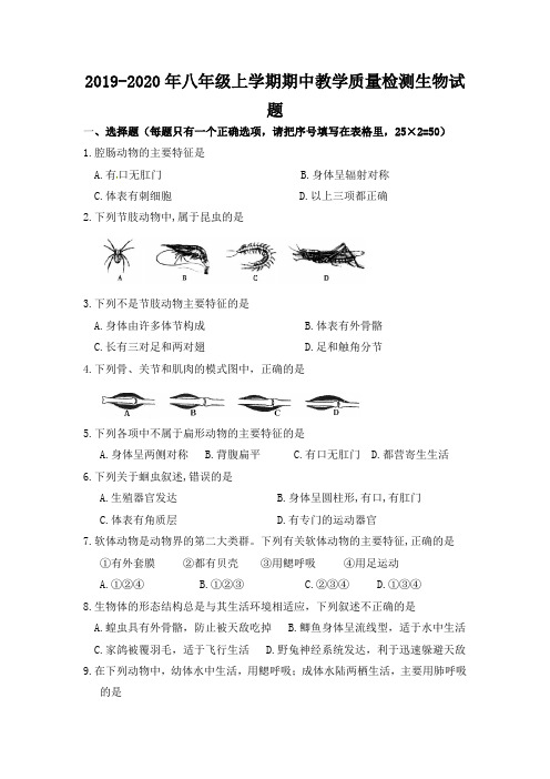 2019-2020年八年级上学期期中教学质量检测生物试题