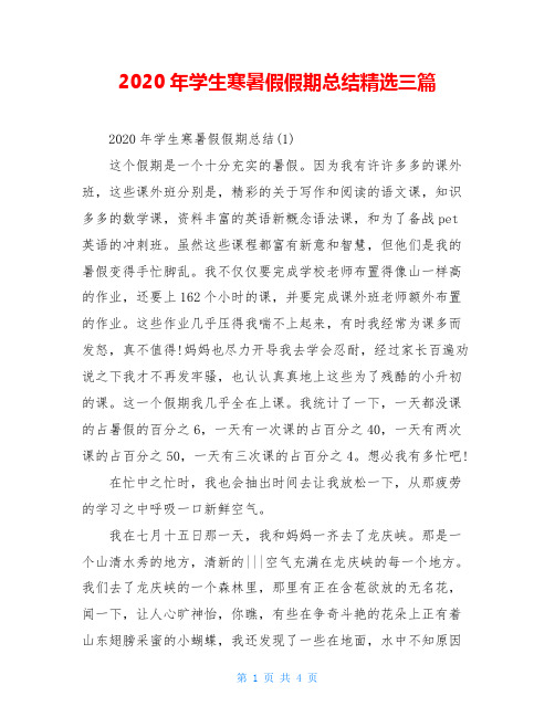 2020年学生寒暑假假期总结精选三篇