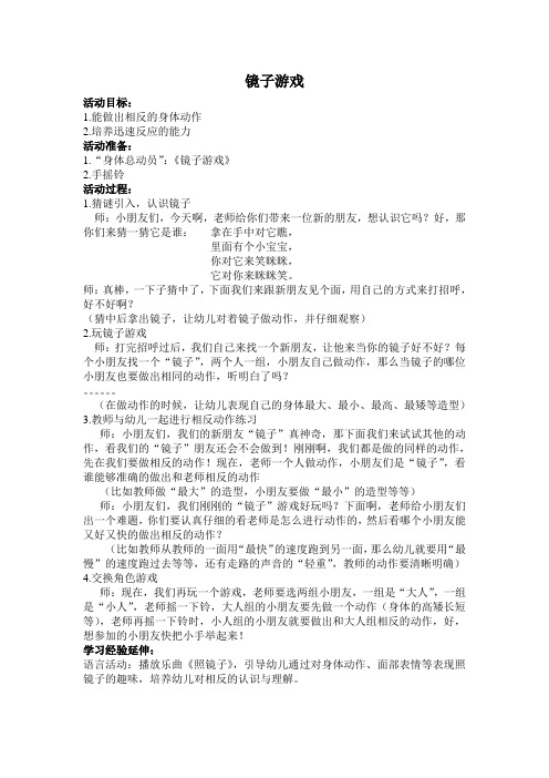 大班科学活动——镜子游戏