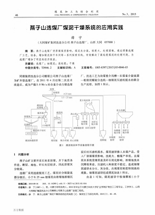 燕子山选煤厂煤泥干燥系统的应用实践(论文)
