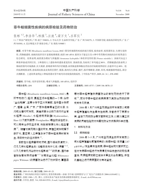 菲牛蛭细菌性疾病的病原检验及药物防治