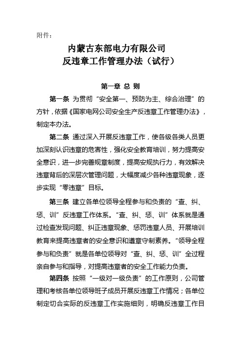 内蒙古东部电力有限公司反违章工作管理办法(试行)