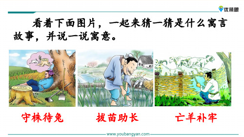 (全新免费版)1-3年级课件精选  15 自相矛盾_1-5