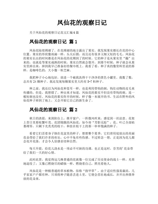 凤仙花的观察日记