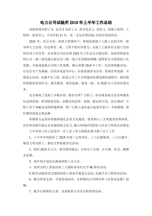 最新-电力公司试验所2019年上半年工作总结 精品