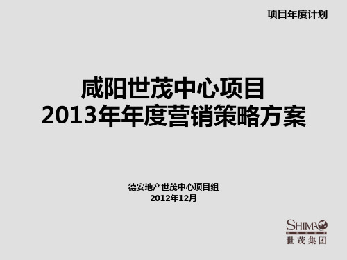 某房地产项目营销策略提案