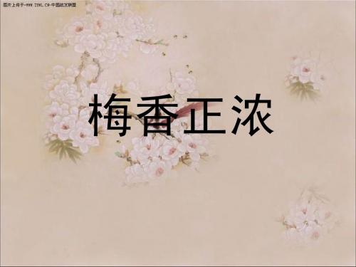 小学语文(北师大版)六年级上册课件：梅香正浓