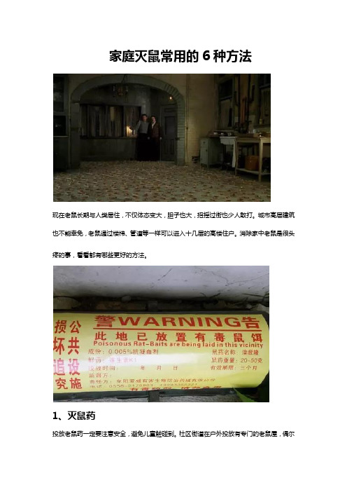 家庭灭老鼠常用的6种方法,消灭老鼠的方法,房间里有老鼠怎么办
