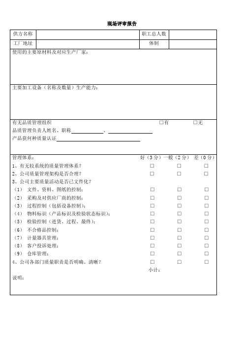 供应商现场评审报告(doc7)()