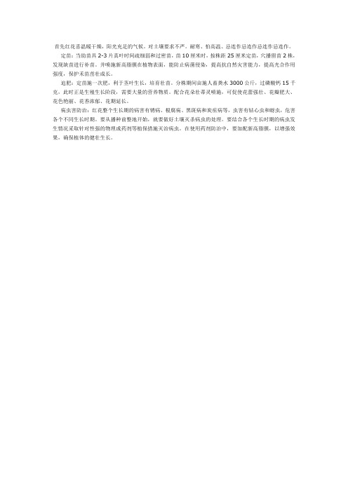 红花种植技术要点