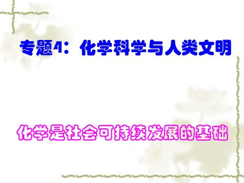 化学课件《化学是社会可持续发展的基础》优秀ppt 苏教版