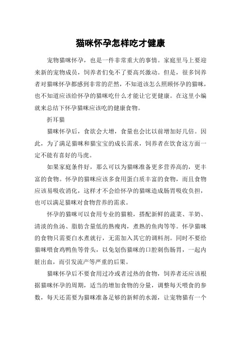 猫咪怀孕怎样吃才健康