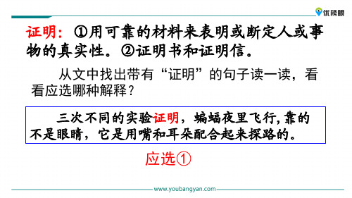 【精品语文课件】2020年最新版四年级上册语文课件 6 蝙蝠和雷达新课标改编版_16-20