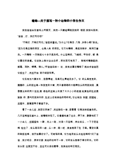 蟾蜍—关于描写一种小动物的小学生作文_三年级状物作文
