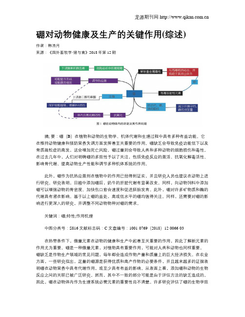 硼对动物健康及生产的关键作用(综述)