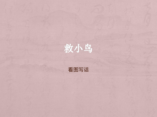 PPT——看图写话(救小鸟)