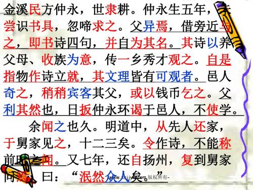 伤仲永复习