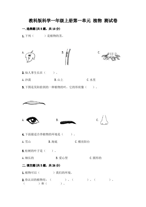 教科版科学一年级上册第一单元 植物 测试卷含答案(完整版)