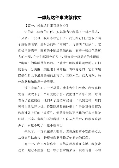 一想起这件事我就作文