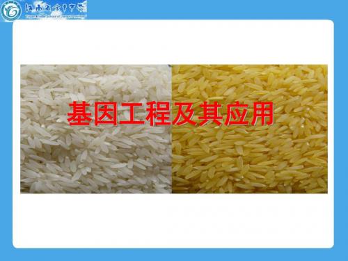 基因工程及其应用课件
