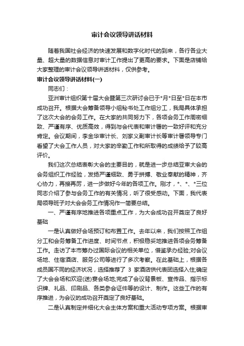 审计会议领导讲话材料