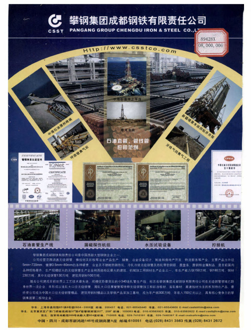 攀钢集团成都钢铁有限责任公司