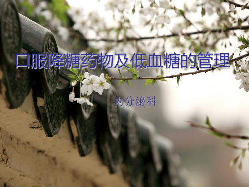 口服降糖药物及低血糖处理