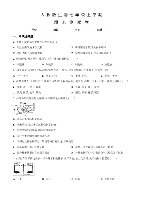 人教版生物七年级上学期《期末考试题》含答案解析