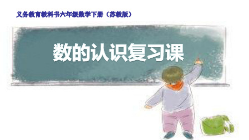 苏教版六年级数学下册总复习数的认识