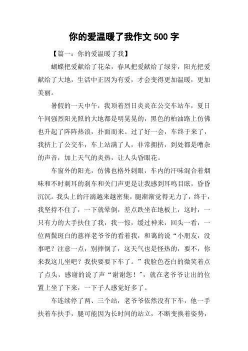 你的爱温暖了我作文500字