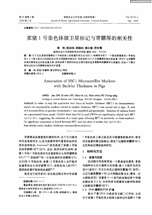 家猪1号染色体微卫星标记与背膘厚的相关性