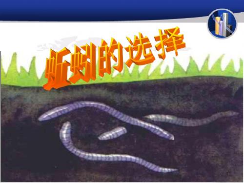 蚯蚓的选择