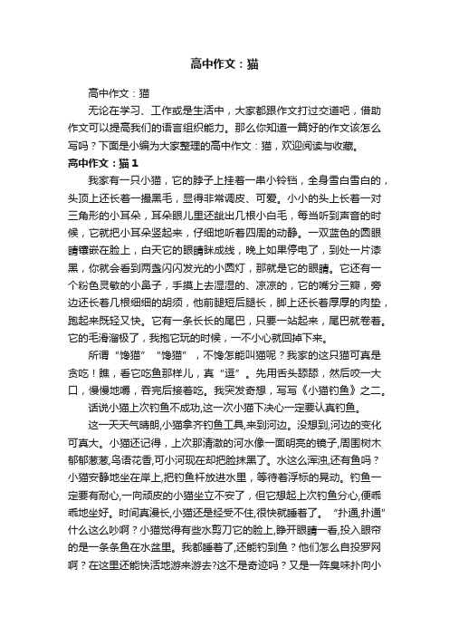 高中作文：猫