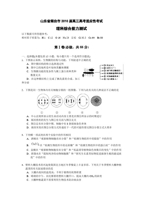 烟台高三高考适应性考试----理科综合