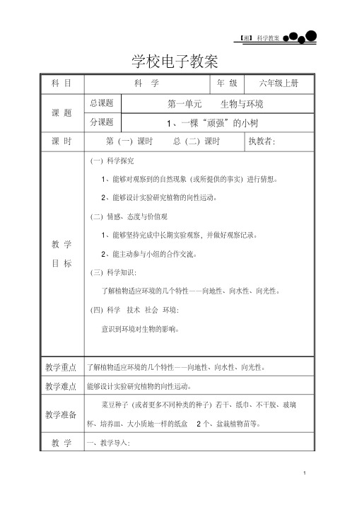 2020年湘教版小学科学六年级上册优秀教案全册