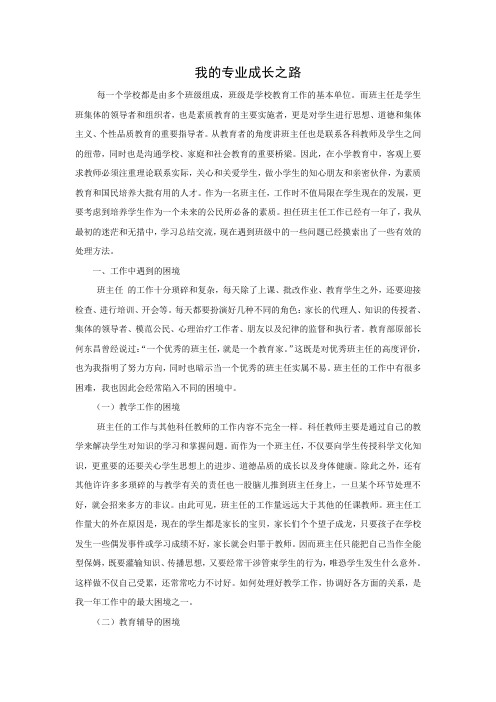 我的专业成长之路