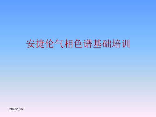 安捷伦气相色谱基础培训分析94页