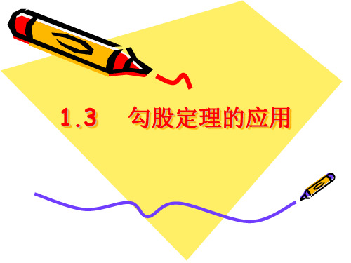 北师大版八年级上册-1.3-勾股定理的应用-课件(共23张PPT)