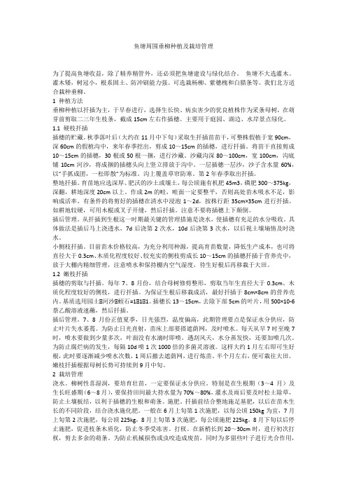 鱼塘周围垂柳种植及栽培管理