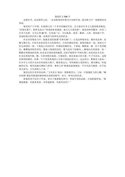 菊韵作文550字