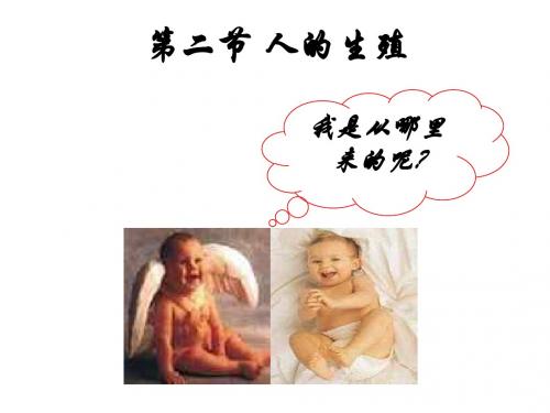 生物《人的生殖》