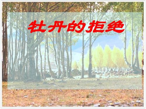 牡丹的拒绝PPT课件22 (人教课标版)