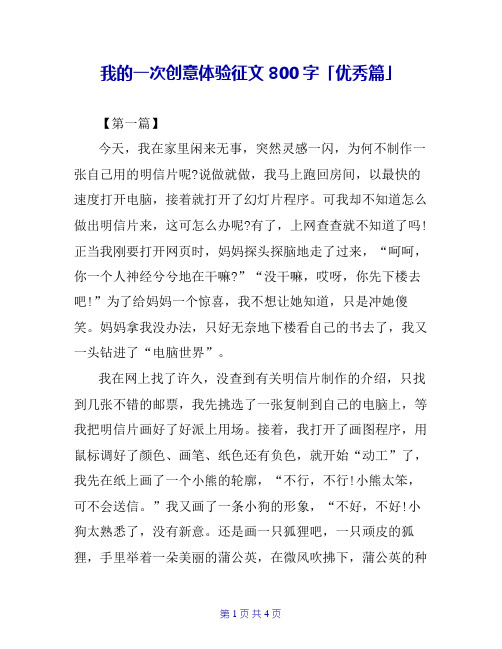 我的一次创意体验征文800字「优秀篇」