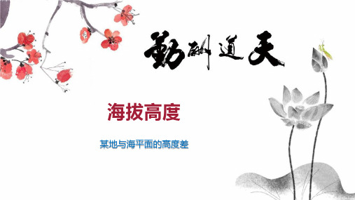 海拔高度    