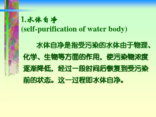 水体自净