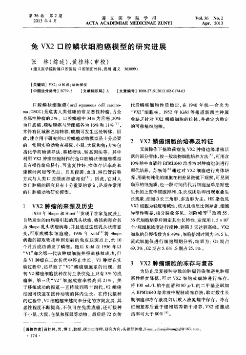 兔VX2口腔鳞状细胞癌模型的研究进展